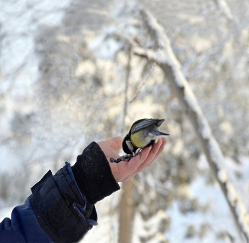 G mD0hZaAAABC2x?format=jpg.jpg