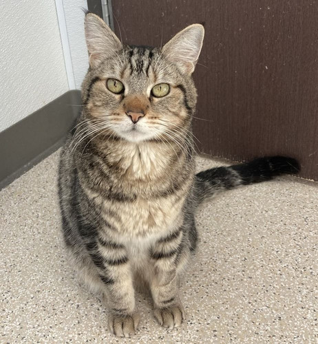 G kXGQDbQAIDNTN?format=jpg.jpg