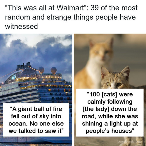 witnessed weird things.jpg