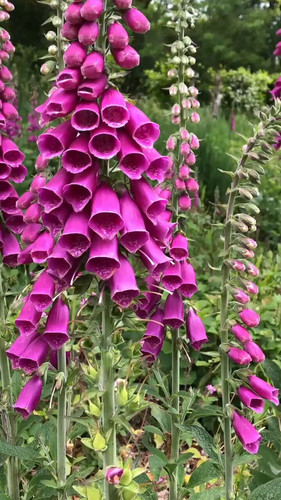 gb 0g3zFwYkhNmB1.jpg