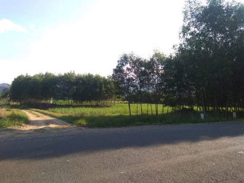 616171983 3329735600536247 4624466405355601823 n.jpg