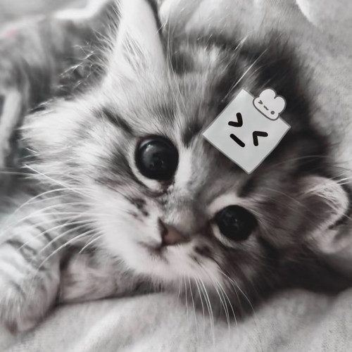 IMG 20260114 214249.jpg