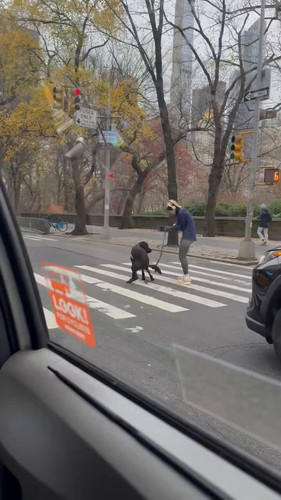 YvEb1vWu5lAwpLK .jpg