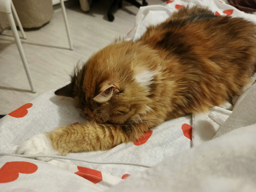 G kYrsoWkAAzzCT?format=jpg.jpg