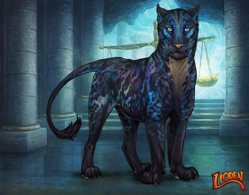 lioden wardrobe 2026 01 14T102901.678.png