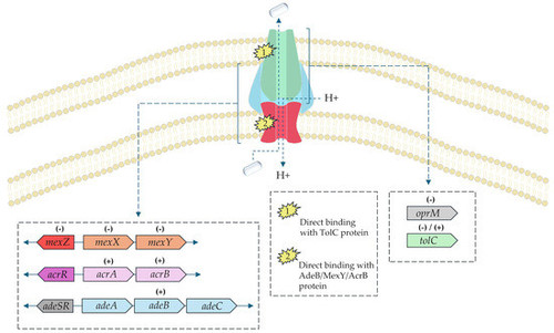 G mK0ydbQAEUOoN?format=jpg.jpg