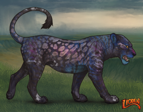 lioden wardrobe 2026 01 14T101700.889.png