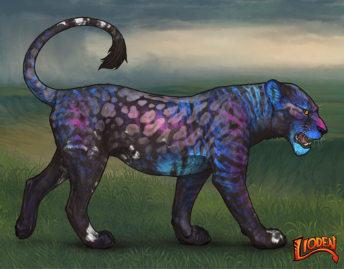 lioden wardrobe 2026 01 14T101724.354.png