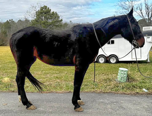 G meI2Va4AA9mop?format=jpg.jpg