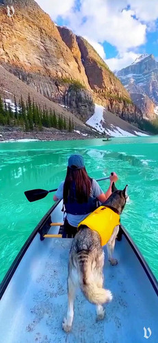 2fIOfkXq30MlS uK.jpg