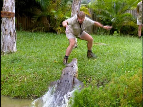 The.Crocodile.Hunter.1997.S01E01.Big.Croc.Diaries.pilot.480i.DVD.REMUX.MPEG2.AC3.2.0.mkv snapshot 05.jpg