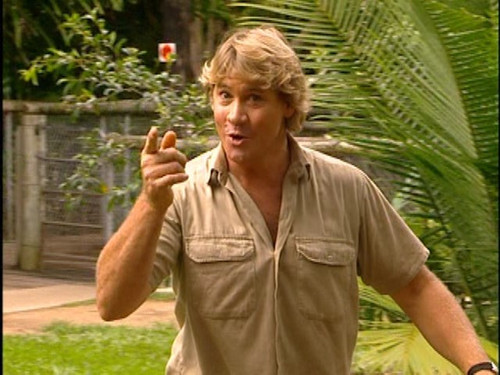 The.Crocodile.Hunter.1997.S01E01.Big.Croc.Diaries.pilot.480i.DVD.REMUX.MPEG2.AC3.2.0.mkv snapshot 00.jpg