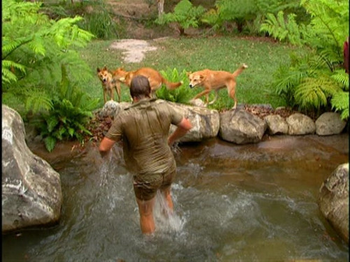 The.Crocodile.Hunter.1997.S01E01.Big.Croc.Diaries.pilot.480i.DVD.REMUX.MPEG2.AC3.2.0.mkv snapshot 26.jpg