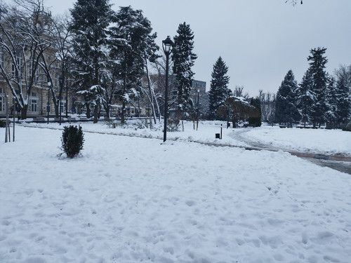 IMG 20260114 122352.jpg