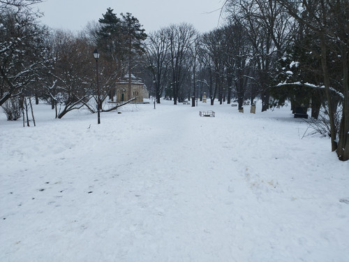 IMG 20260114 143710.jpg