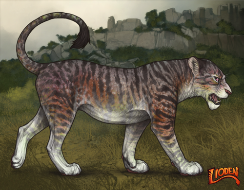 lioden wardrobe 2026 01 14T102239.403.png