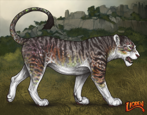 lioden wardrobe 2026 01 14T102304.980.png