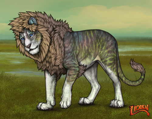 lioden wardrobe 2026 01 14T104930.474.png