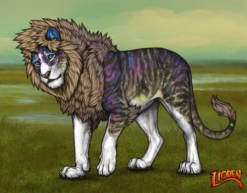 lioden wardrobe 2026 01 14T104950.204.png