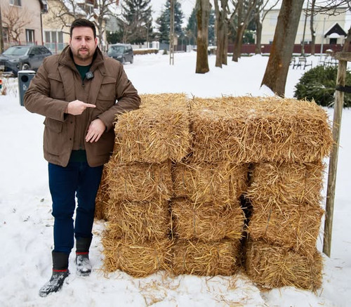 615415003 1462812669180294 1188622624758359734 n.jpg?stp=dst jpg s590x590 tt6& nc cat=104&ccb=1 7& n.jpg