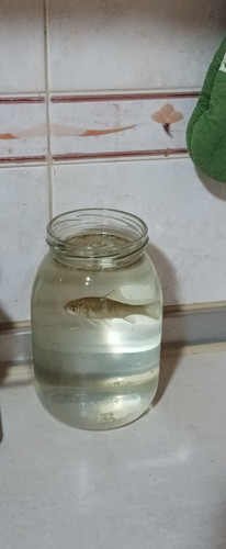 1000007091.jpg