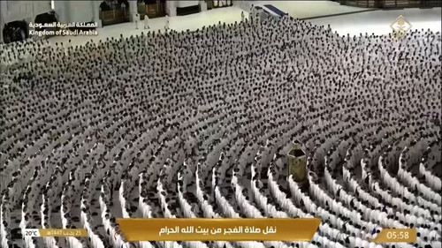 t41WodlX1UTaG3uh.jpg