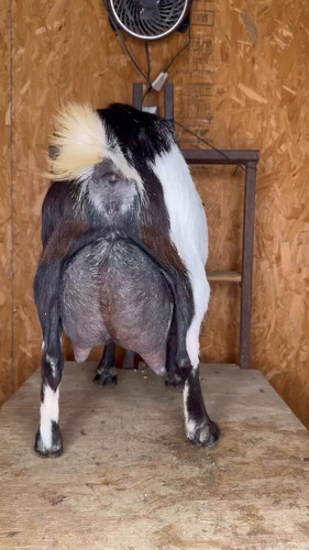jUkdliG0EDvFjIxy.jpg