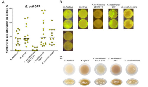 G mhA83bMAAE8oH?format=jpg.jpg