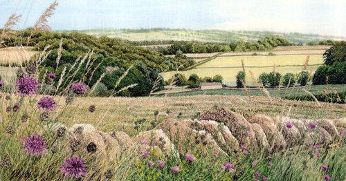 G htw7oawAAa4tE?format=jpg.jpg