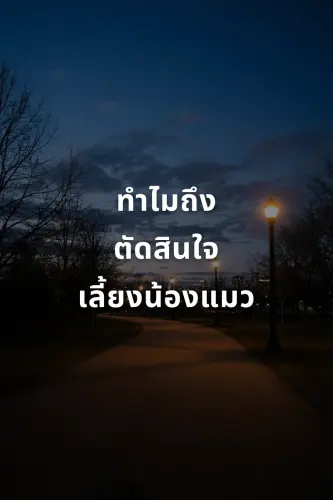 fe55de1b8139.webp