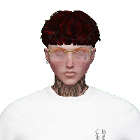 d9f38d1569fa.png