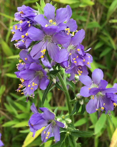 G iOOXYXoAEknjD?format=jpg.jpg