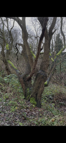 G heiZBWYAAMzxQ?format=jpg.jpg