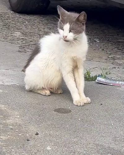 wwouBPIN9S7iJg J.jpg