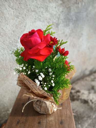 WhatsApp Image 2025 12 25 at 20.16.44.jpg