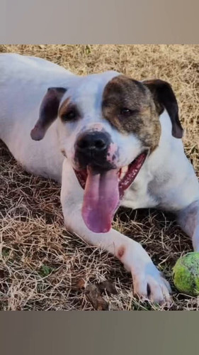 au BKseoKMOFq8Er.jpg