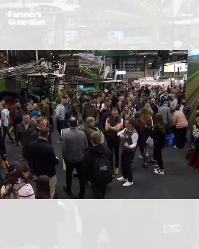 IyJO5tOKPgIK fUY.jpg