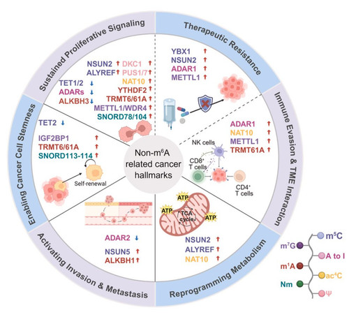 G eMGqUWQAAVvgA?format=jpg.jpg