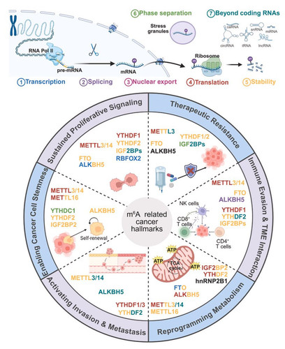 G eMGqUXUAAY0LY?format=jpg.jpg