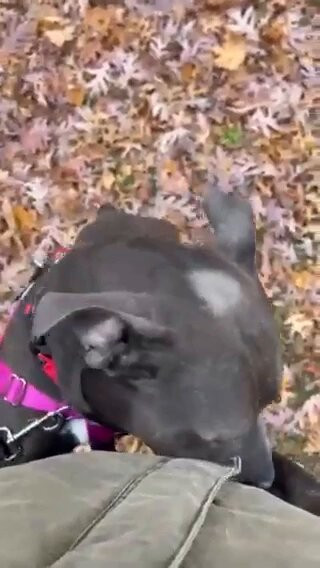 sZBz XhIYNrnU aN.jpg