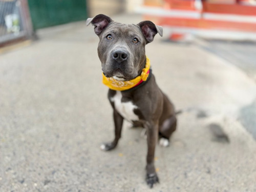 G9d N 5a0AAF7bC?format=jpg.jpg