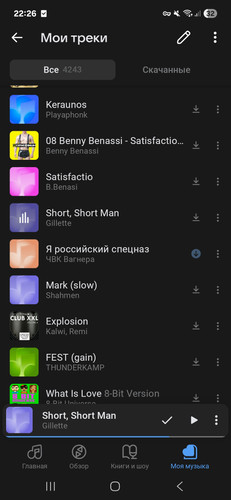 Screenshot 20260114 222609 VK Music.jpg