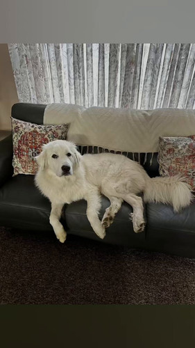 HDWhzeWvbtAf2h I.jpg