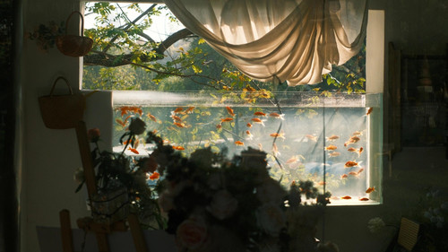 IMG 20260115 032656.jpg