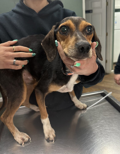 G gOk0wXMAAVOzV?format=jpg.jpg