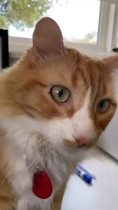 LRR7C VxqqV 6wFY.jpg