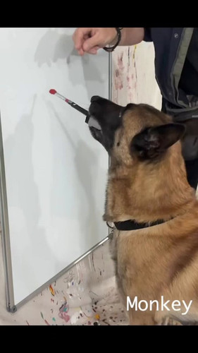 PXUCM UL5BaFXrZm.jpg