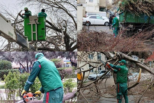 MtATMBuXzpYCZYrJJD03A8i2iyYDan7blH5xSmrdfq8KctH8bmYrFXM7drBhFgalVO1 w3KfUwmZH0atqv 8sxpvGrgV0yDS9lmZ.jpg