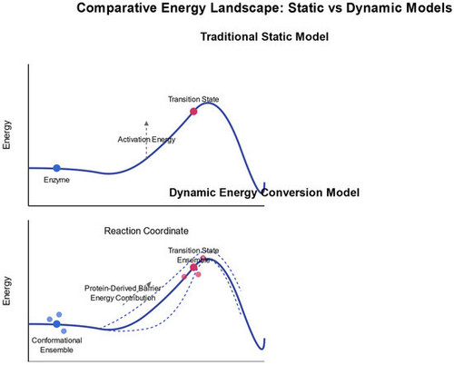 G mLRNbbQAM3Awg?format=jpg.jpg