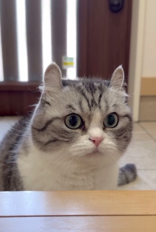 photo 2025 12 28 23 13 39.jpg